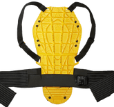 Back Warrior Evo